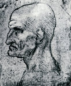 Leder af en gammel mand, 1913 af Leonardo da Vinci