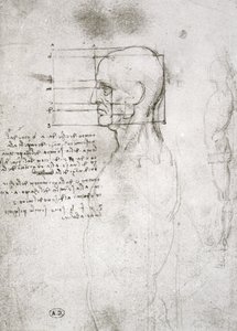 Leder af en gammel mand i profil, faksimilekopi (pen og blæk på papir) af Leonardo da Vinci