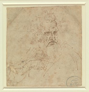 Hovedet af en gråhåret mand med et barsk udtryk og højre arm af Leonardo da Vinci