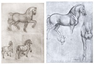 Heste, c1490-1510 af Leonardo da Vinci