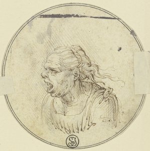 Karikatur af en kvinde med åben mund, brystbillede, set i profil mod venstre af Leonardo da Vinci