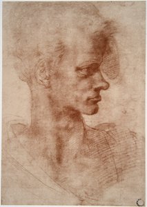 Leonardo da Vinci (Leonardo da Vinci) (1452 - 1519): Karikaturportræt af en ung mand (Imagine) af Leonardo da Vinci