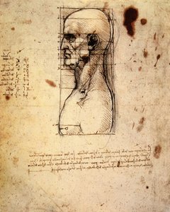 Mandshoved i profil med proportioner af Leonardo da Vinci