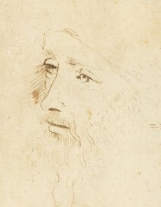 Portræt af Leonardo da Vinci, ca 1518. af Leonardo da Vinci,