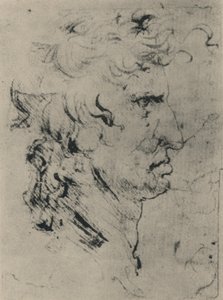 Profil af en mand til højre, c1480 1945 af Leonardo da Vinci