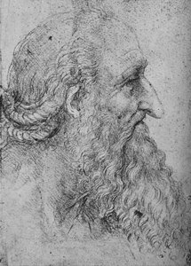 Profil af en gammel, skægget mand til højre, c1480 1945 af Leonardo da Vinci