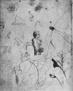 Profil af en gammel mand, planter, geometriske figurer osv., c1480 1945 af Leonardo da Vinci