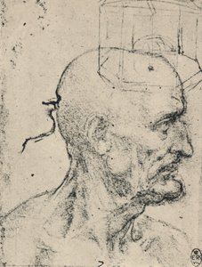 Profil til højre for en skaldet mand, c1480 1945 af Leonardo da Vinci