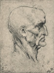Profil til højre for en ældre skaldet mand, c1480 1945 af Leonardo da Vinci
