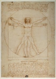 Ordning af proportioner af den menneskelige figur ifølge Vitruvius af Leonardo da Vinci