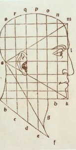 Proportionundersøgelse af det menneskelige hoved af Leonardo da Vinci