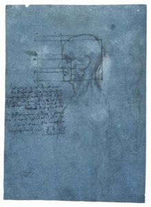 Proportionundersøgelse af et mandligt hoved i profil af Leonardo da Vinci