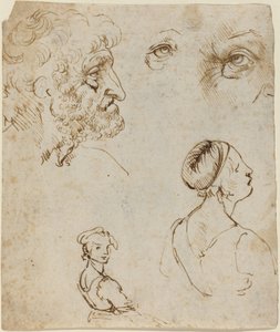 Studieark [recto] af Leonardo da Vinci