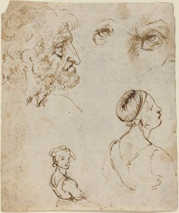 Ark med studier [recto]. af Leonardo da Vinci