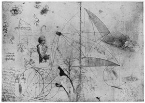 Studieark, slutningen af det 15. eller begyndelsen af det 16. århundrede 1954. af Leonardo da Vinci