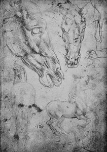 Studier af heste og af hestehoveder, c1480 1945 af Leonardo da Vinci