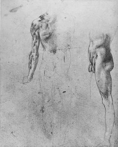 Studier af en nøgen mand set fra ryggen og fra siden, c1480 1945 af Leonardo da Vinci