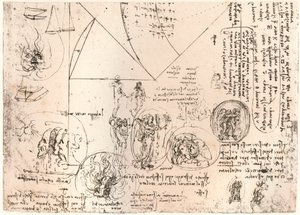 Studier af emblemer, c1472-c1519 1883 af Leonardo da Vinci