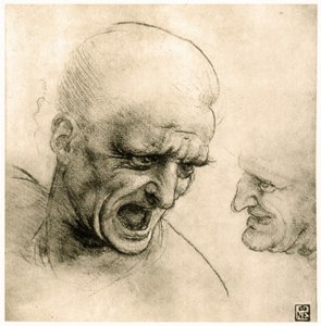 Studer for en krigers hoved af Leonardo da Vinci