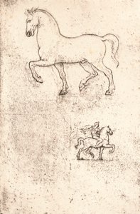 Studie til Sforza-monumentet, c1482-c1499 1883 af Leonardo da Vinci