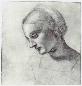 Hovedet af en Madonna, c1484-1486 af Leonardo da Vinci