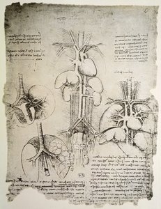Hjertet og kredsløbet, faksimile af Windsor-bogen (pen og blæk på papir) af Leonardo da Vinci