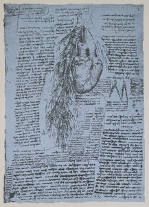 Hjertet og bronkialarterierne, faksimile af Windsor-bogen (pen og blæk på papir) af Leonardo da Vinci