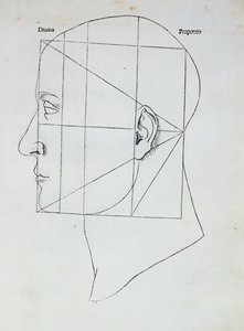 Det menneskelige hoved, illustration til 