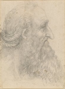Hovedet af en gammel skægget mand, ca 1517. af Leonardo da Vinci