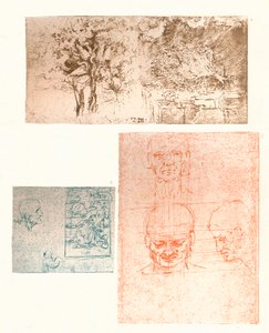 Tre tegninger, c1472-c1519 1883 af Leonardo da Vinci