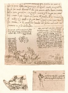 Tre tegninger, c1472-c1519 1883 af Leonardo da Vinci