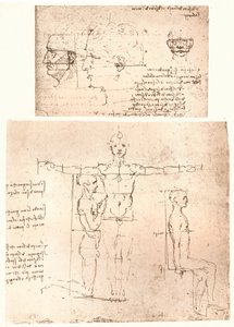 To tegninger, der illustrerer teorien om proportionerne af den menneskelige figur, c1472-c1519 1883. af Leonardo da Vinci