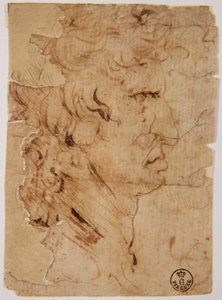 Ukendt billede af Leonardo da Vinci
