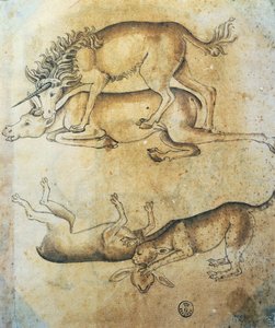 Enhjørning angriber en ko og leopard angriber et får, undersøgelse af dyr, af Leonardo da Vinci (1452-1519), tegning af Leonardo da Vinci