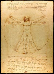 Vitruviansk mand af Leonardo da Vinci
