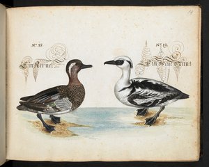 Tilføj MS 6485