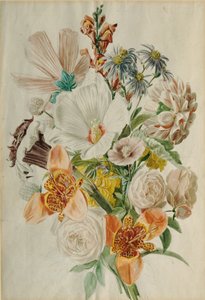 Buket med Hibiscus og Liljer