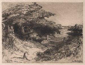 Quissett, Barnstable County, Massachusetts, 1879. af Leroy Milton Yale