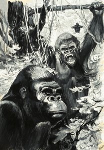 Gorillaer af Leslie Field Evans
