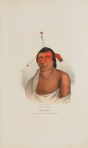 PE-A-JICK; En chippewa-høvding, fra The Aboriginal Portfolio af Lewis, James Otto