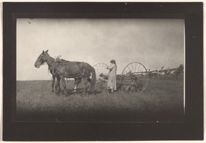 [Farm Scene, Massachusetts]