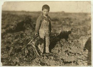 6-årige Jo trækker sukkerroer på en gård nær Sterling, Colorado, 1915 af Lewis Wickes Hine