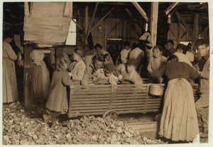 Bill May, 5 år, der tjener 15 cents om dagen, i skuret ved Barataria Canning Company, Biloxi, Mississippi, 1911 af Lewis Wickes Hine