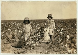 Jewel og Harold Walker, 6 og 5 år gamle, vælger 20 til 25 pund bomuld om dagen i Geronimo, Comanche County Oklahoma, 1916 af Lewis Wickes Hine