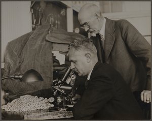  af Lewis Wickes Hine