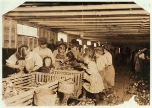 Rosy på 8 år arbejder en 14 timers dag som østers-shucker på Dunbar Cannery, Louisiana, 1911 af Lewis Wickes Hine