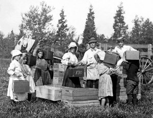 Ukendt billede af Lewis Wickes Hine