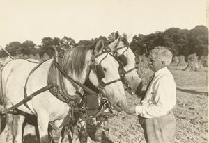 Uden titel, ca. 1935. af Lewis Wickes Hine