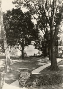 Uden titel, ca. 1935. af Lewis Wickes Hine