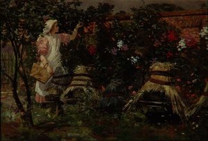 Pige- og bistader af Lexden L. Pocock